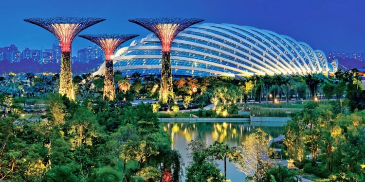 Sustainable Design Innovation Brings a Better Future